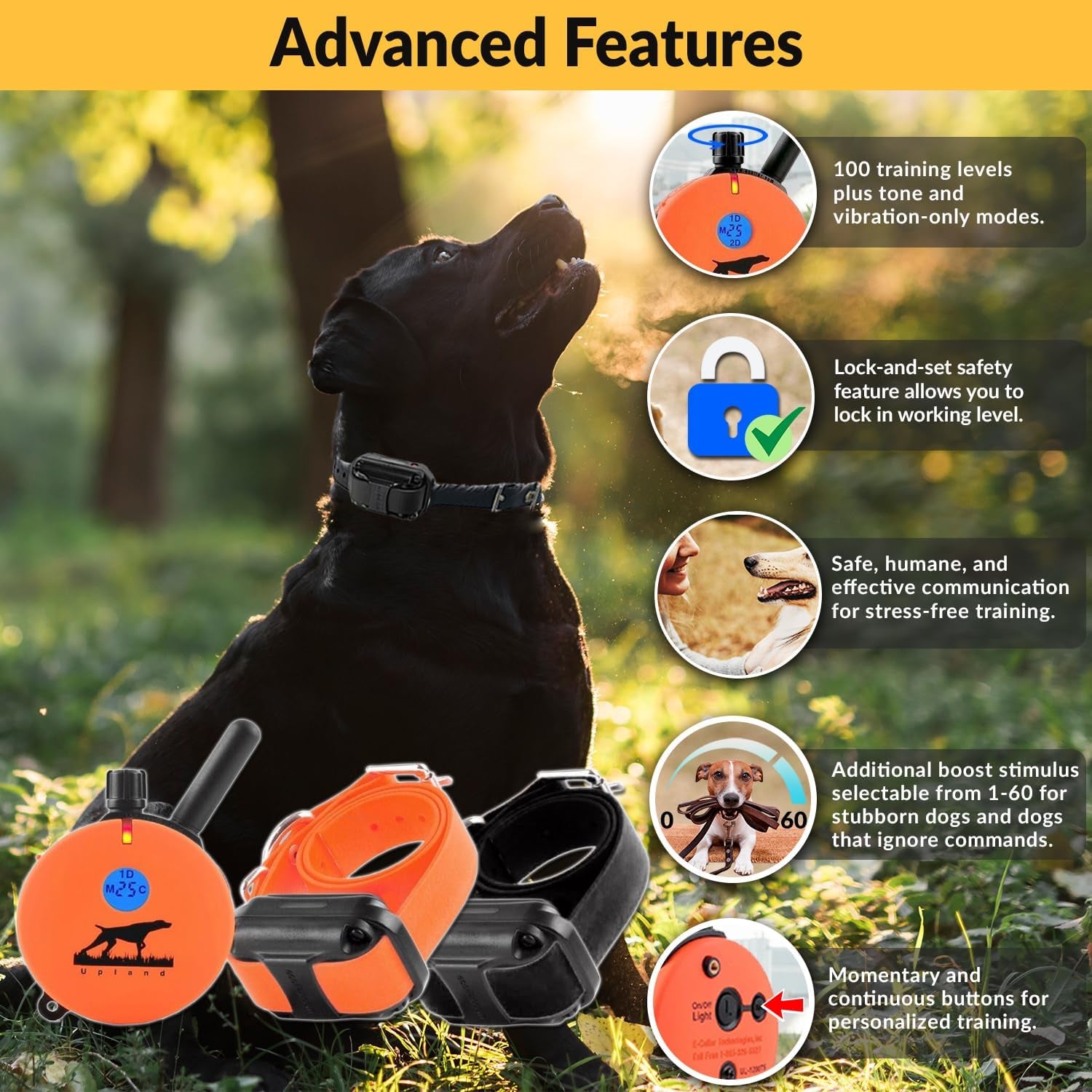 E-Collar Humane Dog Training Collar with Remote, 100 Safe Tapping Stimulation Levels, Night Light, Waterproof, Rechargeable, 1 Mile 2 Large Dogs, Orange