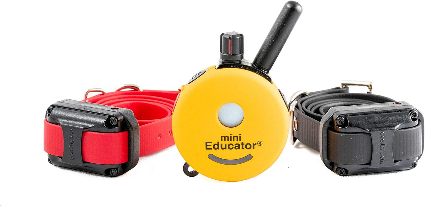 Dog Training E Collar - ET-302 Educator Remote Trainer System - Waterproof - Vibration Tapping Sensation with Bundle Soft Pet Grooming Glove