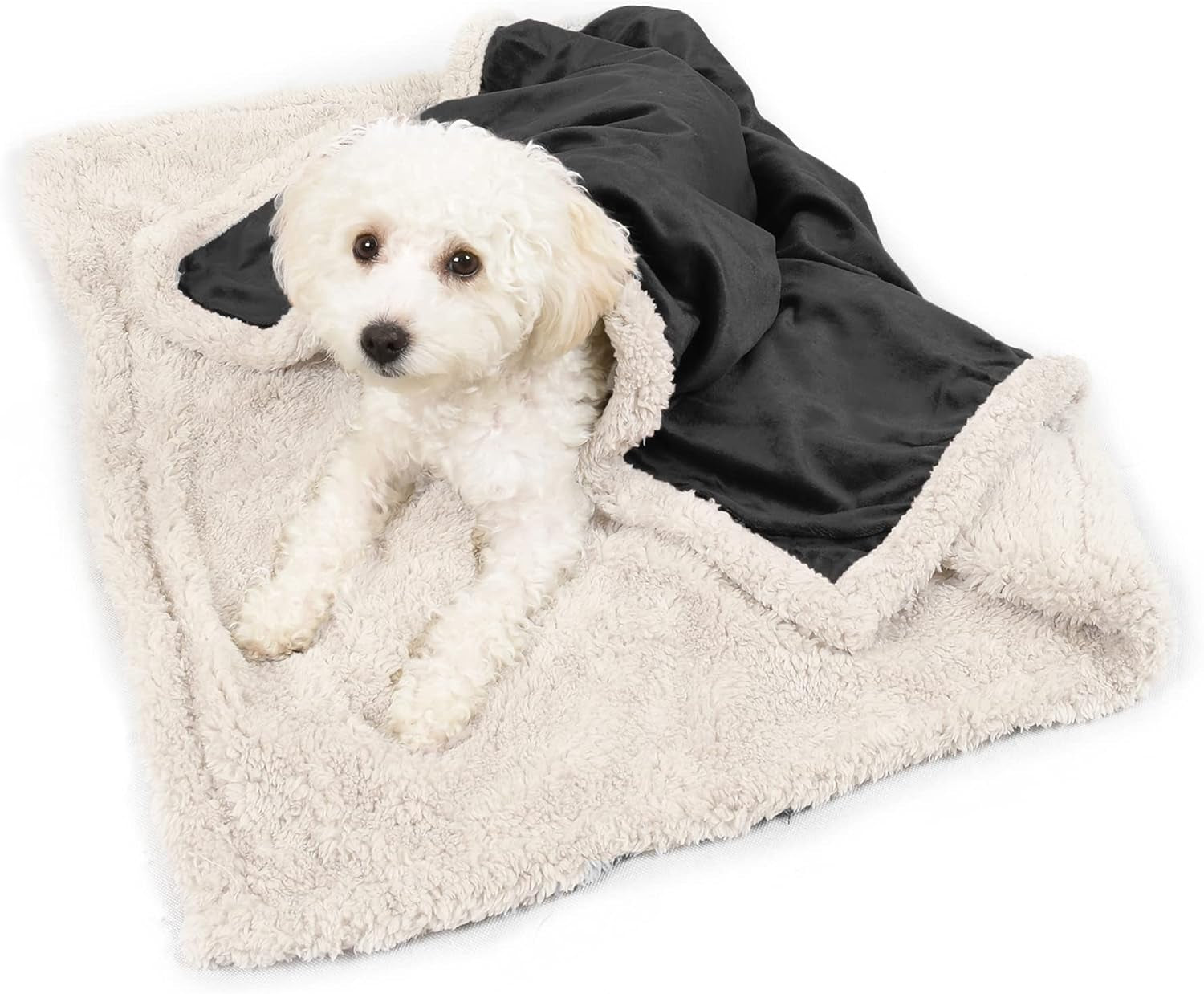 Dog Blankets for Small Dogs, Soft Puppy Blanket, Pet Blankets for Cats, Lightweight & Washable, Perfect for Dog Beds, Car Seats, Creat, 30X40 Inches