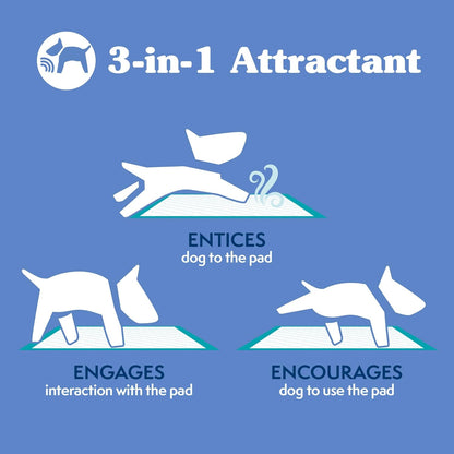 Extra Large Pee Pads for Dogs, Puppy Potty Training, Leak Proof Dog Pads, Pet Pee Pad, Disposable Puppy Pad, XLARGE 28"X30"