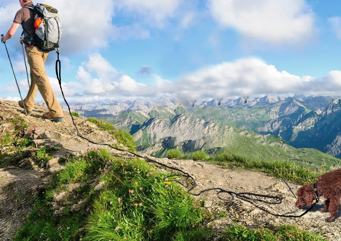 Long Dog Training Leash, 30 FT Tie Out Rope Check Cord with Padded Handle, Reflective Recall Lead for Puppy and Small Dogs, Black