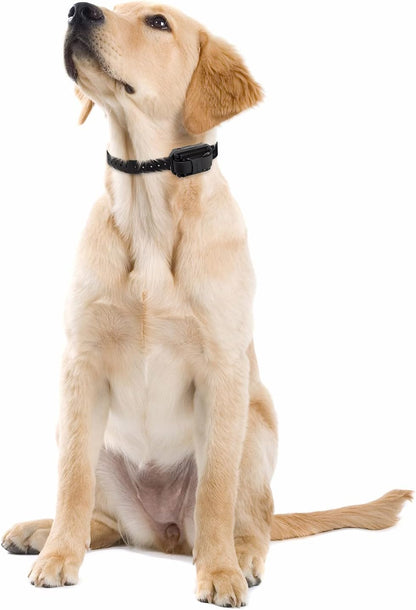 E-Collar Humane Dog Training Collar with Remote, 100 Safe Tapping Stimulation Levels, Night Light, Waterproof, Rechargeable, 1 Mile 2 Large Dogs, Orange