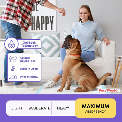 2XL Puppy Pads, 28X44 Inch, 100 Count| Ultra-Absorbent, Leak-Proof Dog Pee Pads for Potty Training