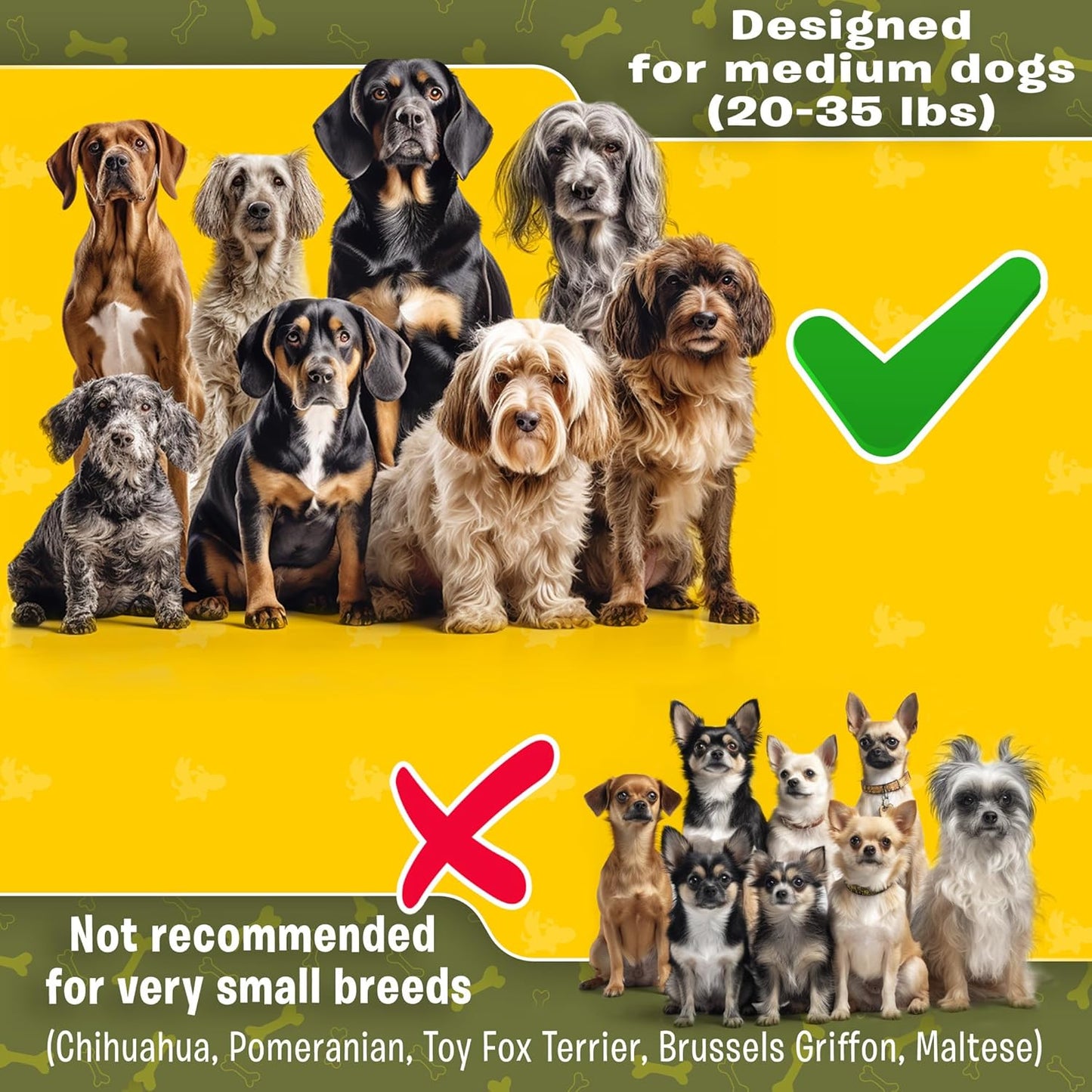 Exquisite Hands-Free Leash for Two Medium Dogs – Perfect for Active Pet Owners – Comfortable, Durable & Ideal for Running, Walking, Hiking – Premium Dual Waist Lead with Bungee – Must-Have Dog Gear